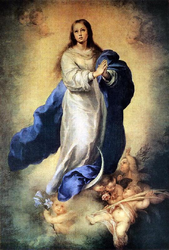  Immaculate Conception sg